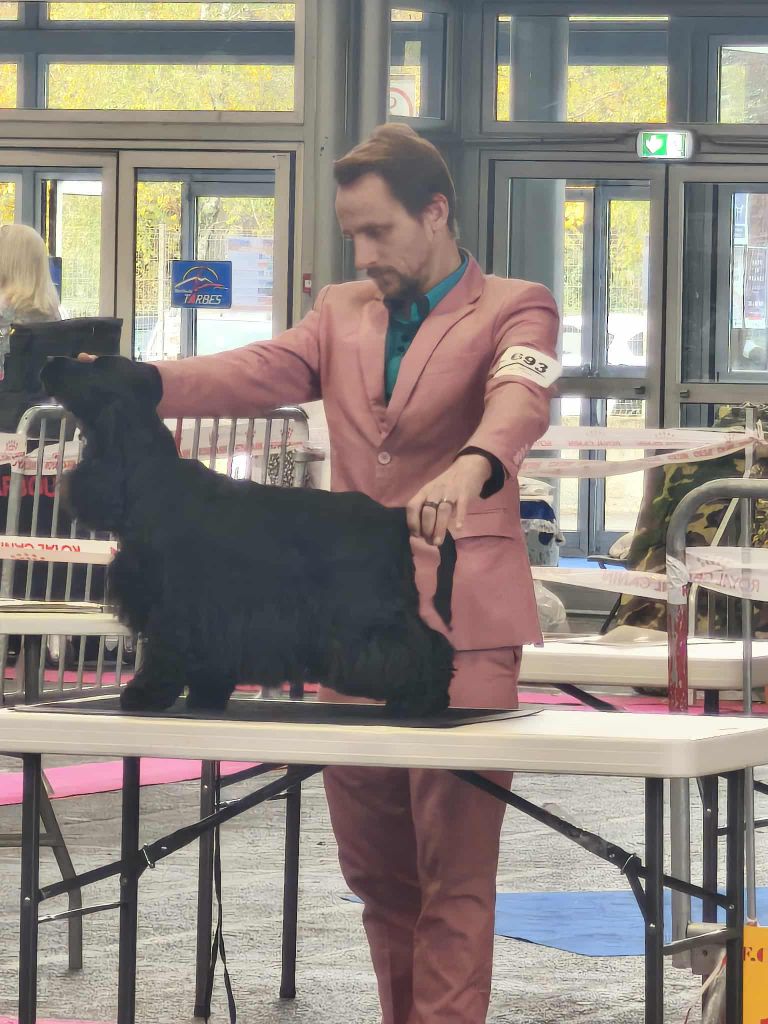 CH. Udeline Du Diamant Marquise