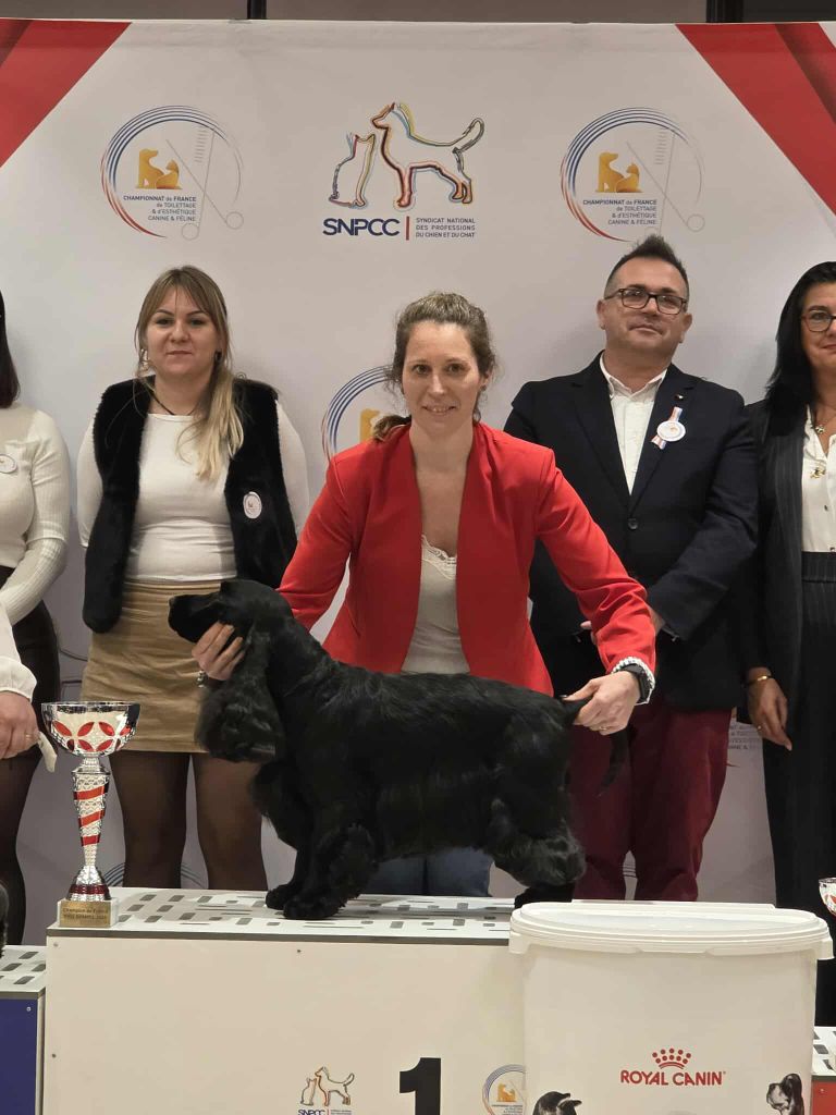 CHAMPIONNATS DE FRANCE DE TOILETTAGE